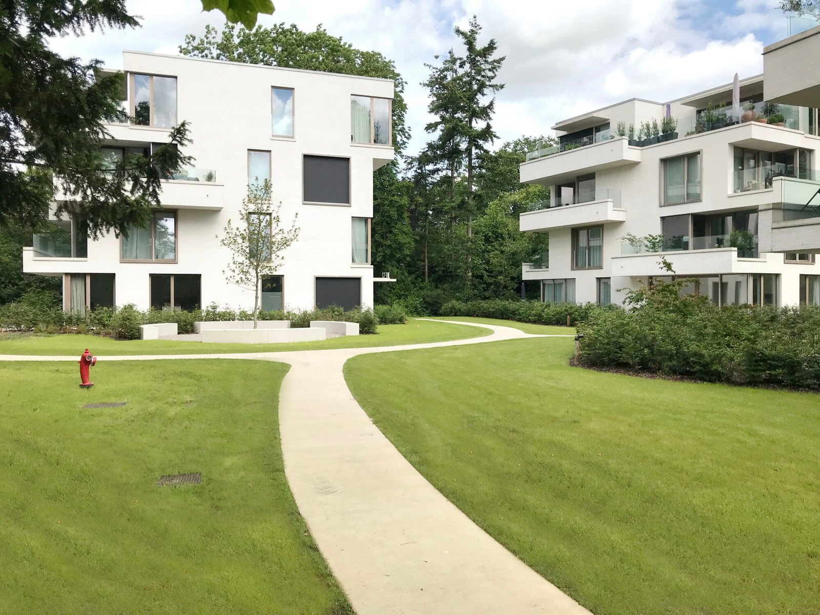 2024-05-28 klossebos04